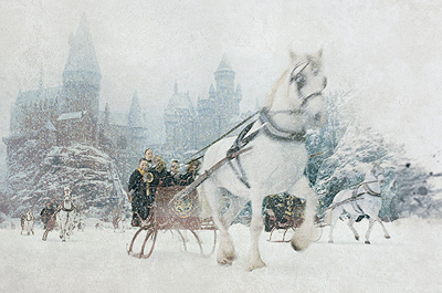 Самое сказочное событие этого месяца. Sky Family Park превращается в Хогвартс