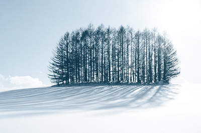 Не проспи январь: лучшие события месяца