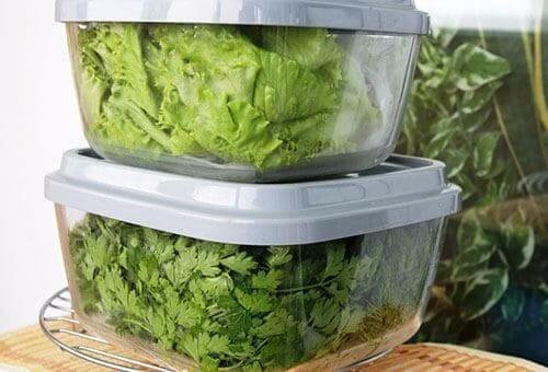 Как сохранить зелень и овощи в холодильнике: несколько полезных советов от экспертов фото 1