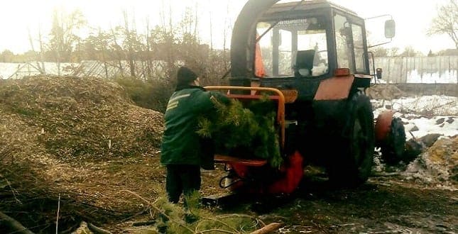 С 1 января в Киеве заработают пункты приема елок и сосен на утилизацию