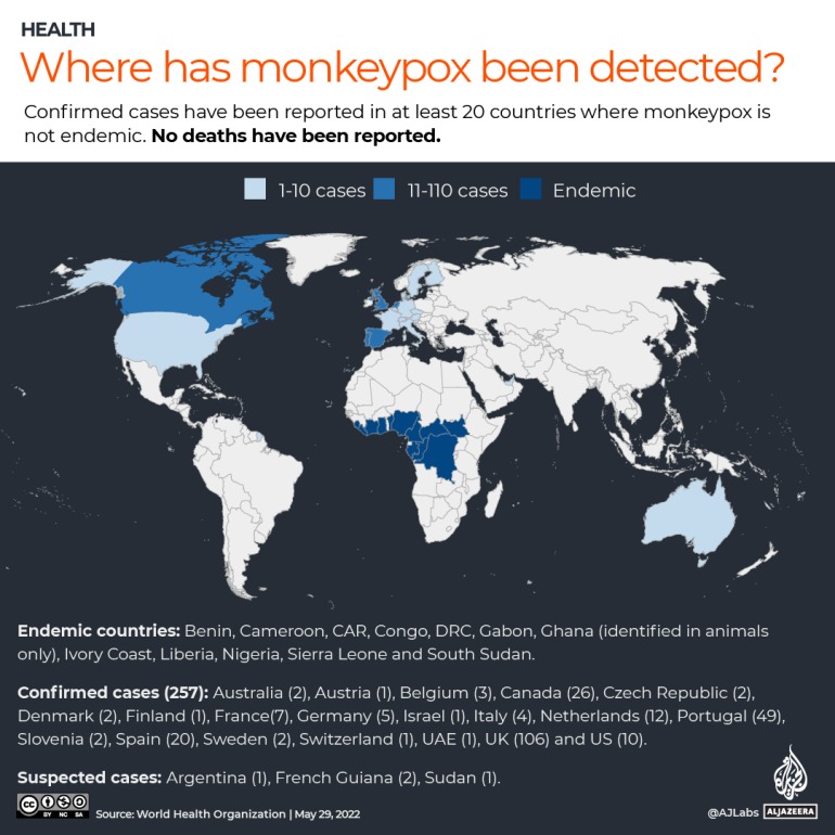 Лабораторно подтвержденные случаи оспы обезьян в мире с 13 по 26 мая