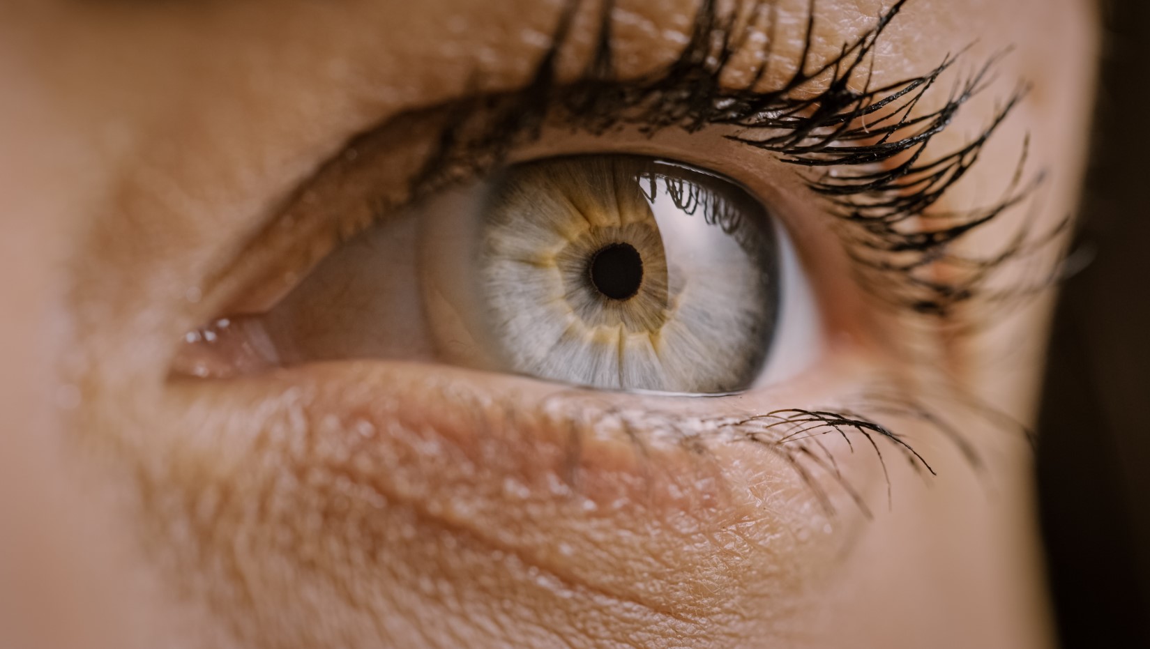Торичні контактні лінзи: хороший зір при астигматизмі