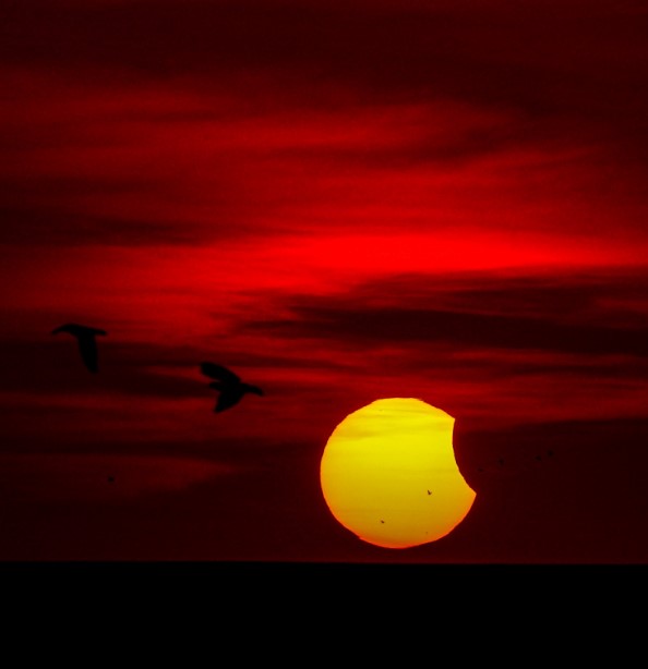 Солнечное затмение 25 октября в Ченнаи, Индия