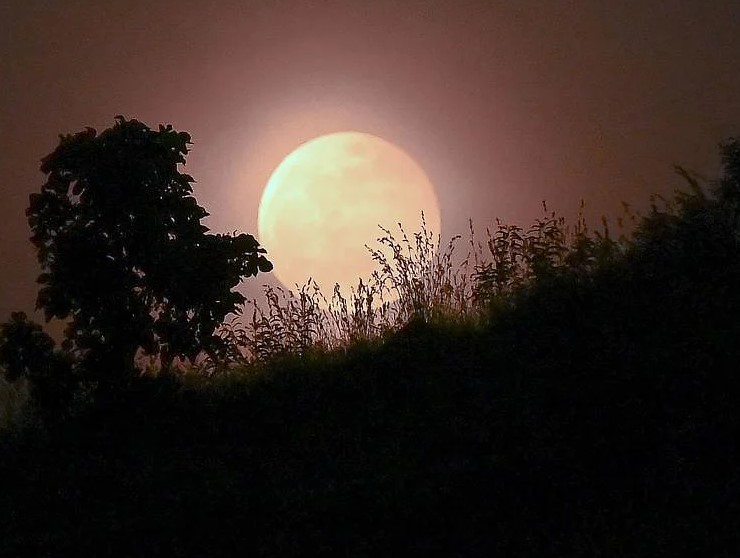 Полное лунное затмение 8 ноября
