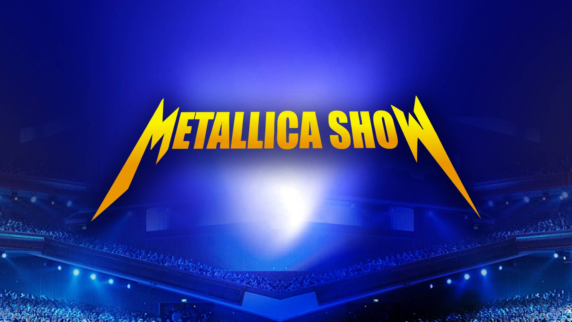 Metallica Show S & M Tribute