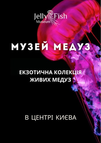Киевский музей медуз
