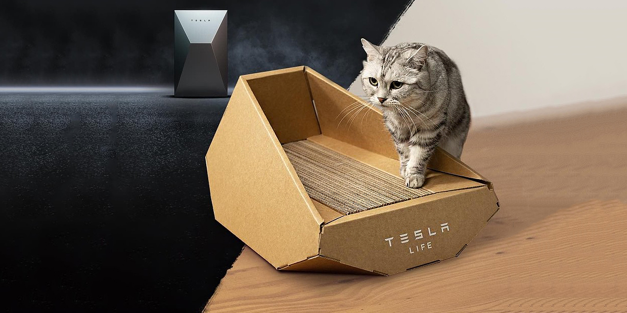 Tesla выпустила лежанку для котов в стиле Cybertruck: стоимость и фото фото 1