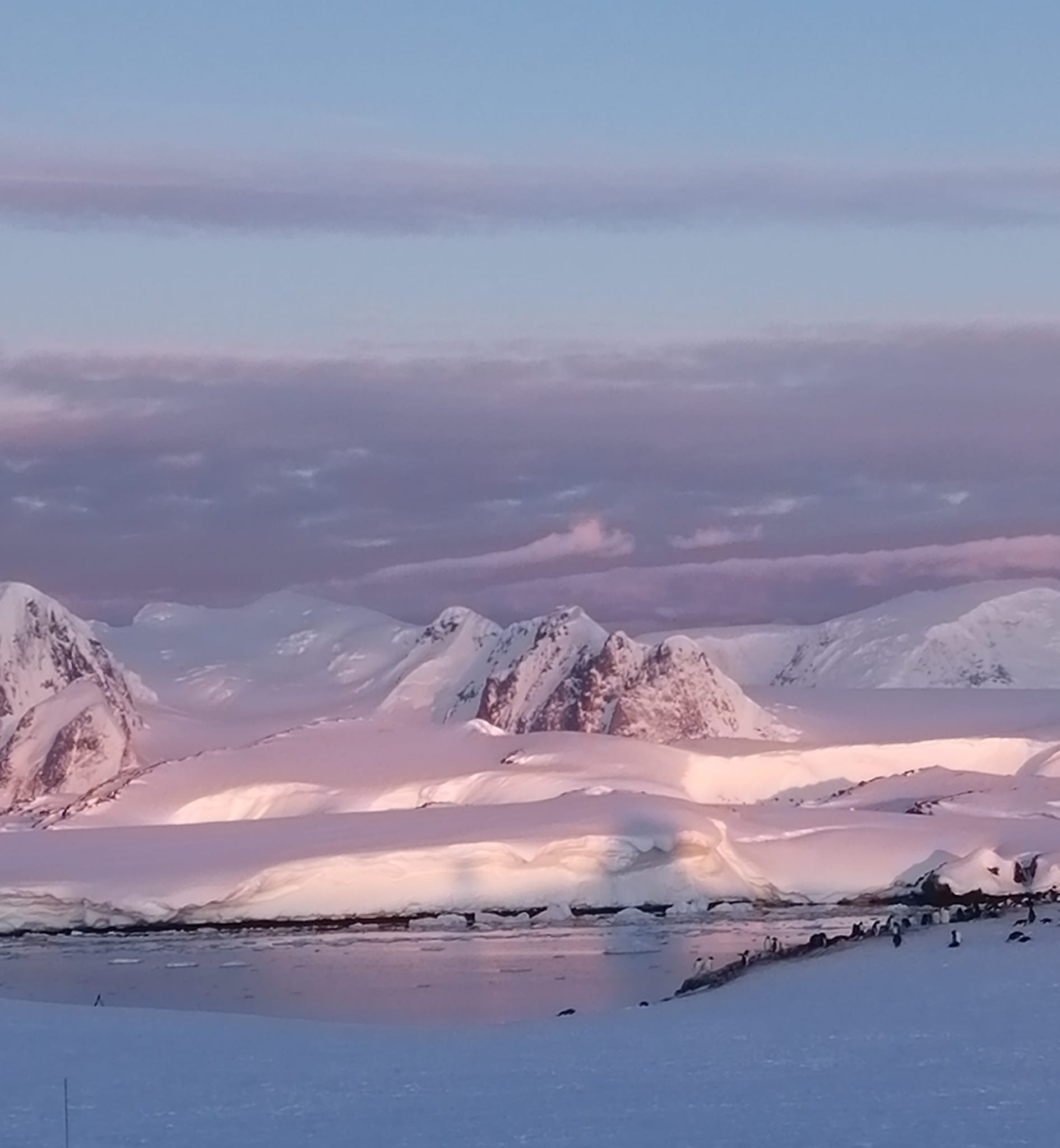 Украинские полярники показали фото «белых ночей» в Антарктиде: невероятные кадры фото 2