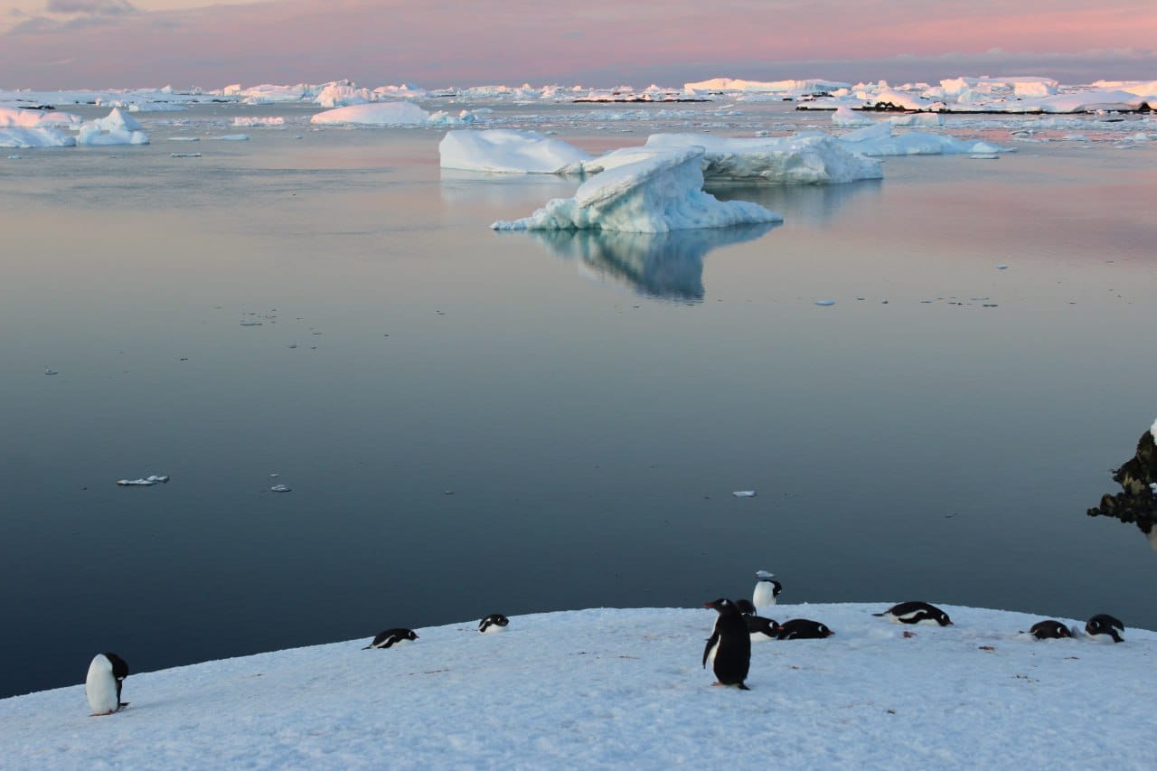 Українські полярники показали фото «білих ночей» в Антарктиді: неймовірні кадри фото 4